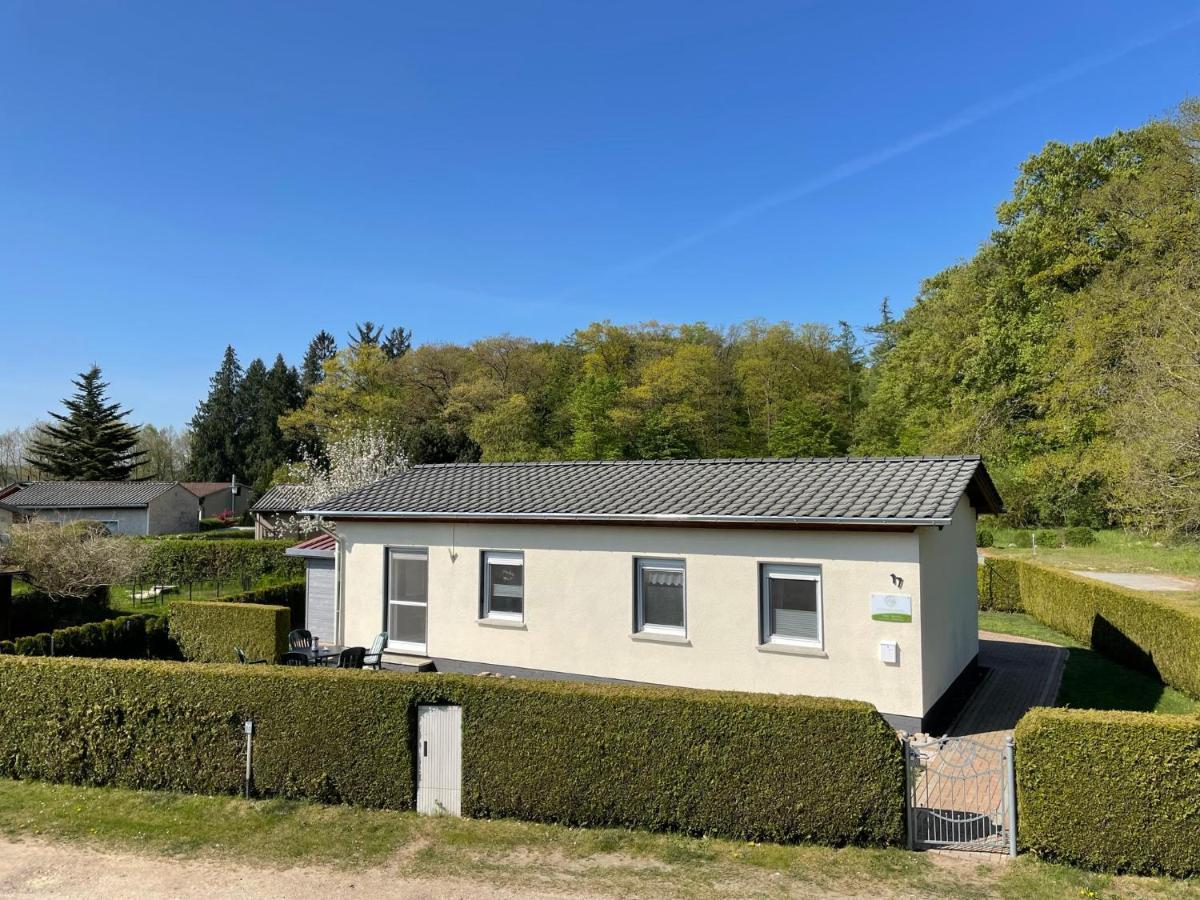 Ferienhaus Am Klosterwald Dargun Екстериор снимка