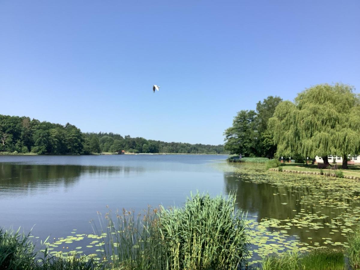 Ferienhaus Am Klosterwald Dargun Екстериор снимка