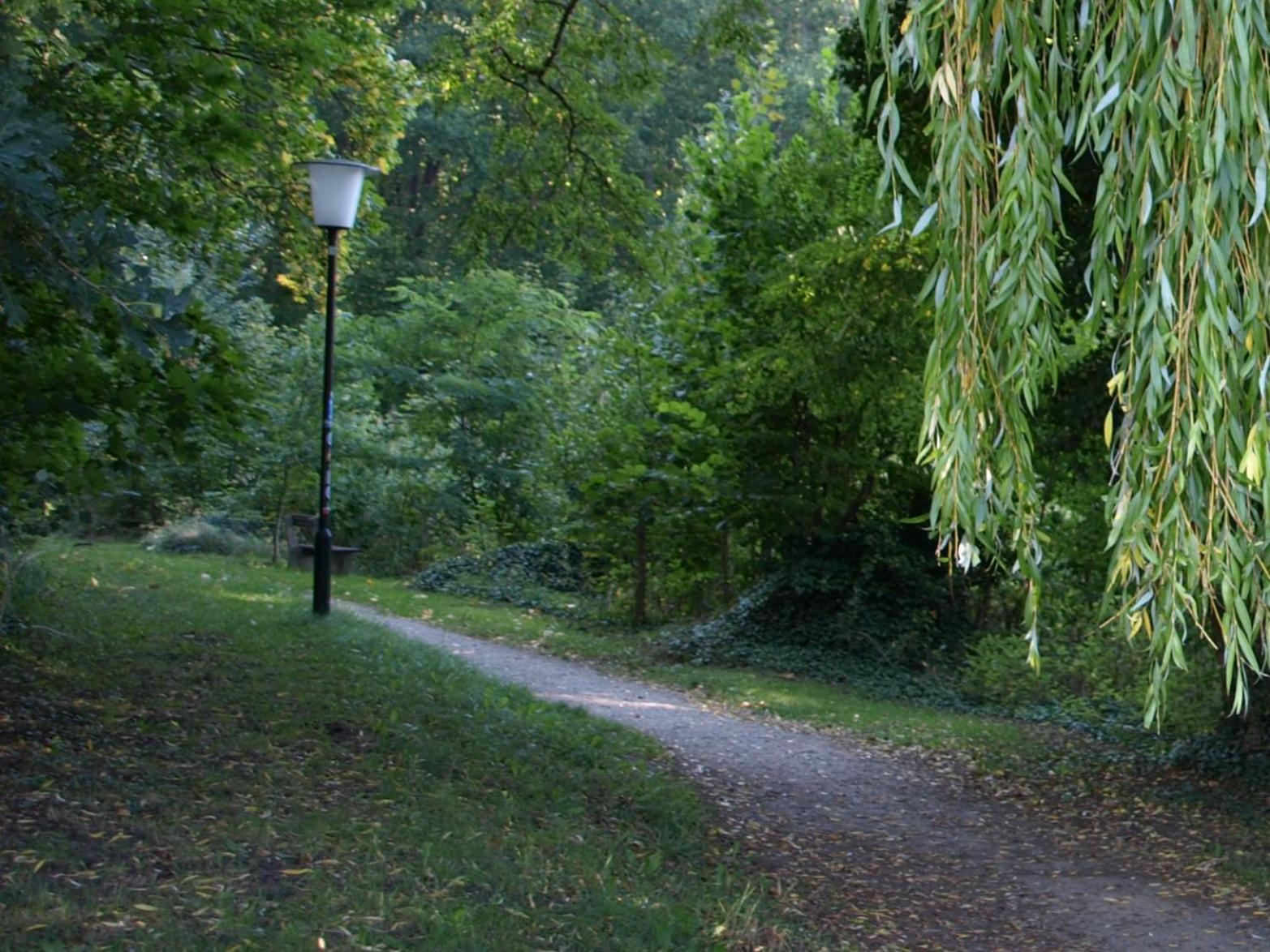 Ferienhaus Am Klosterwald Dargun Екстериор снимка